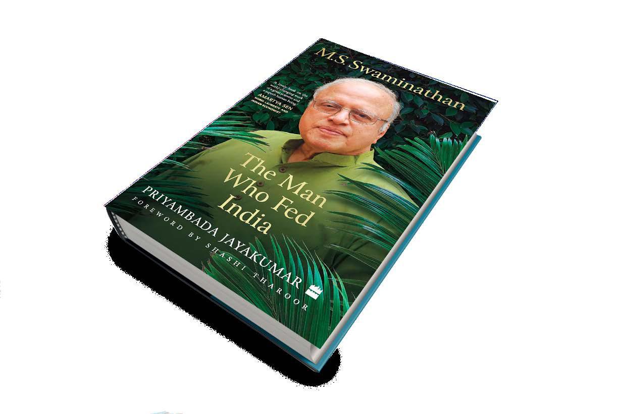 An Evergreen Figure